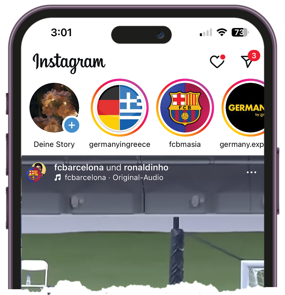 insta story viewer