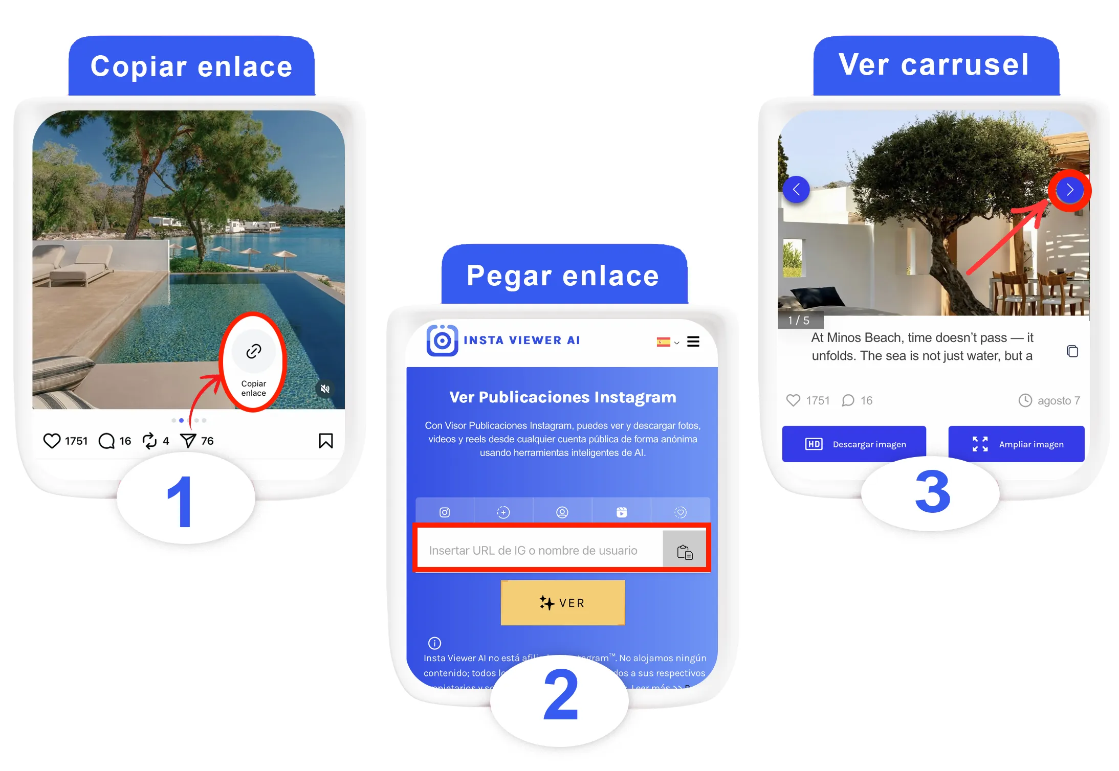Visor carruseles de Instagram anónimo