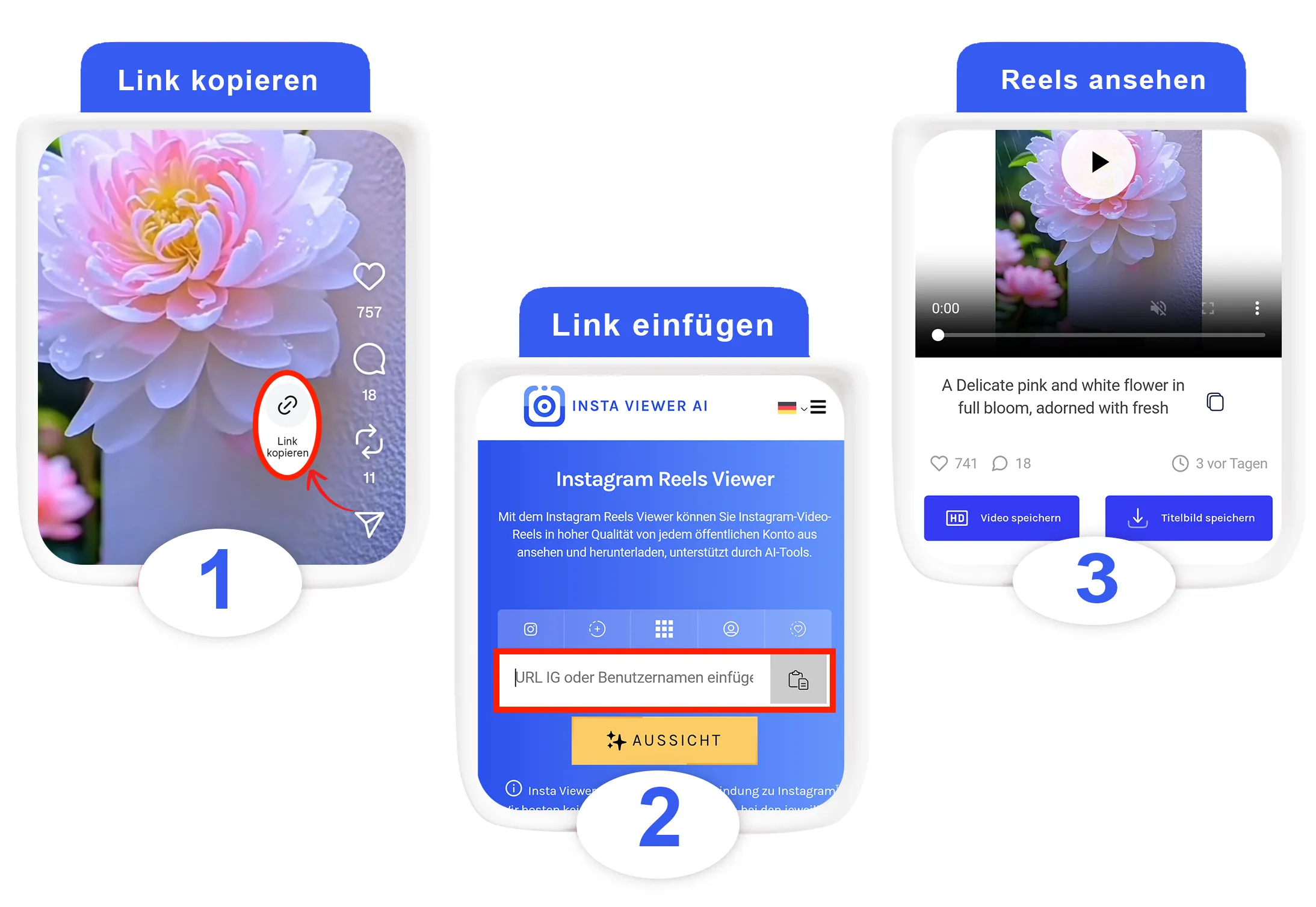 Instagram Reels mit Link ansehen