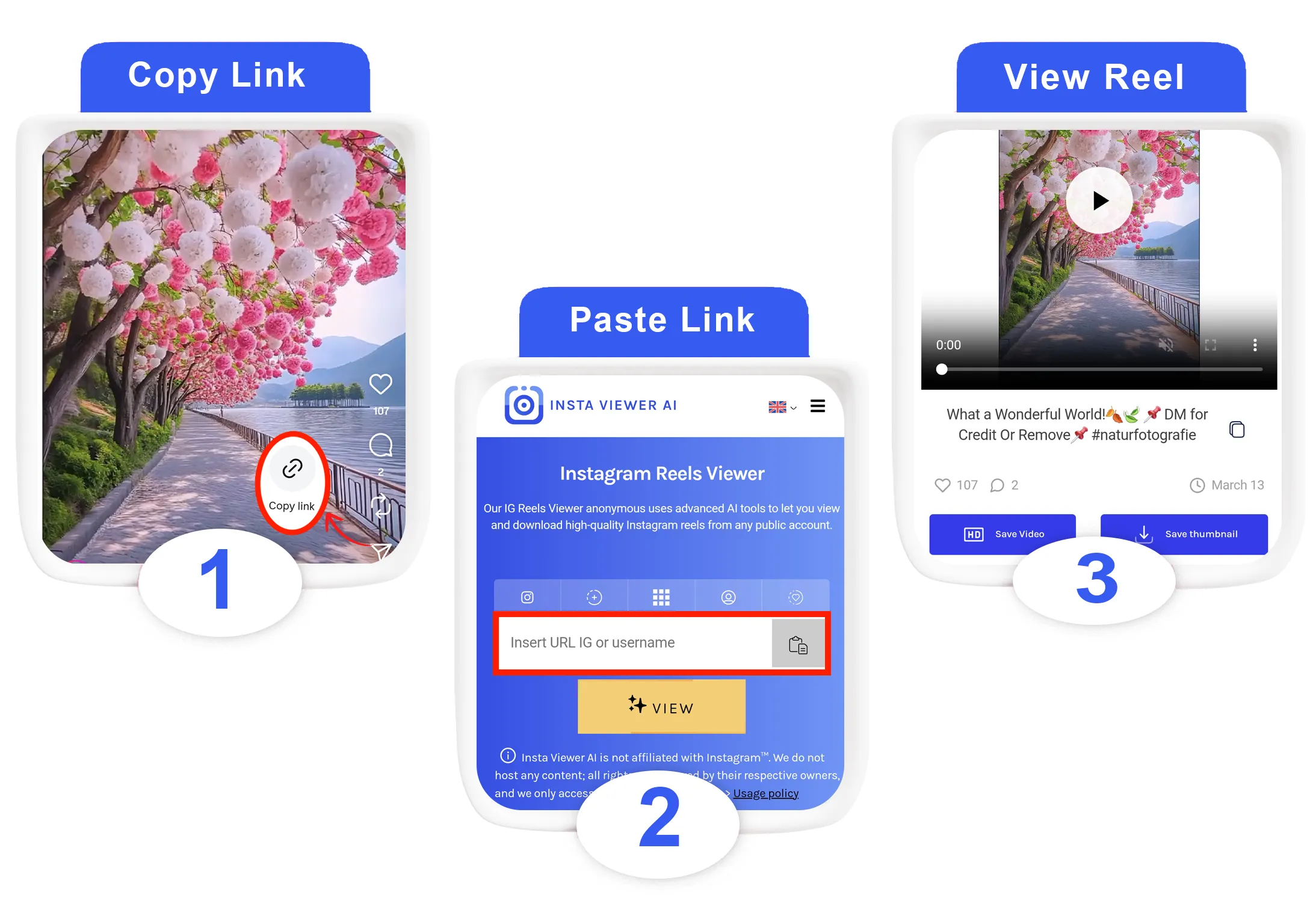 Watch Instagram reels with link